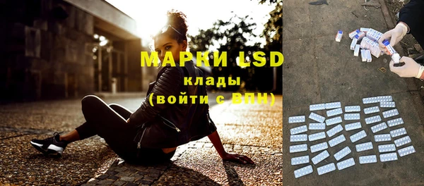 PSILOCYBIN Алзамай