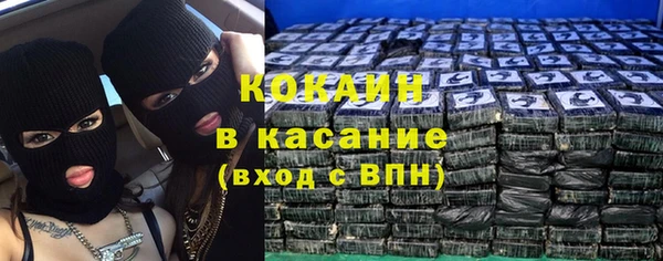 PSILOCYBIN Алзамай