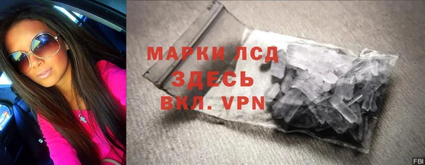 PSILOCYBIN Алзамай